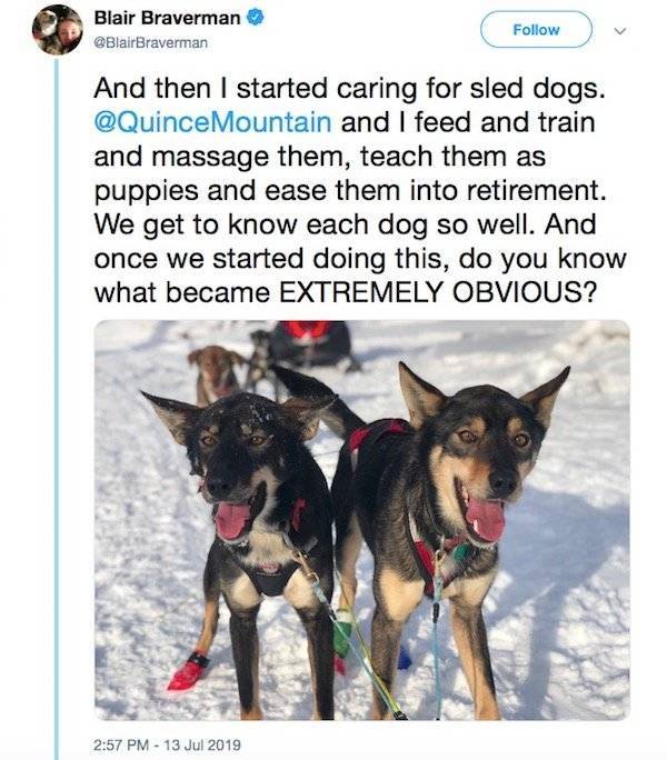 Sled Dogs Can Teach You How To Love Yourself