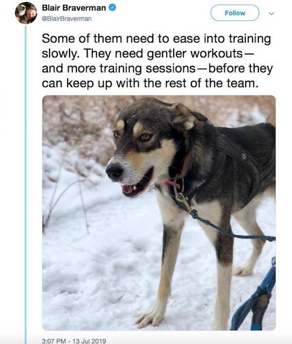 Sled Dogs Can Teach You How To Love Yourself