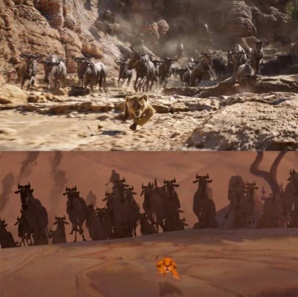 How The New “Lion King” Compares To The Original One