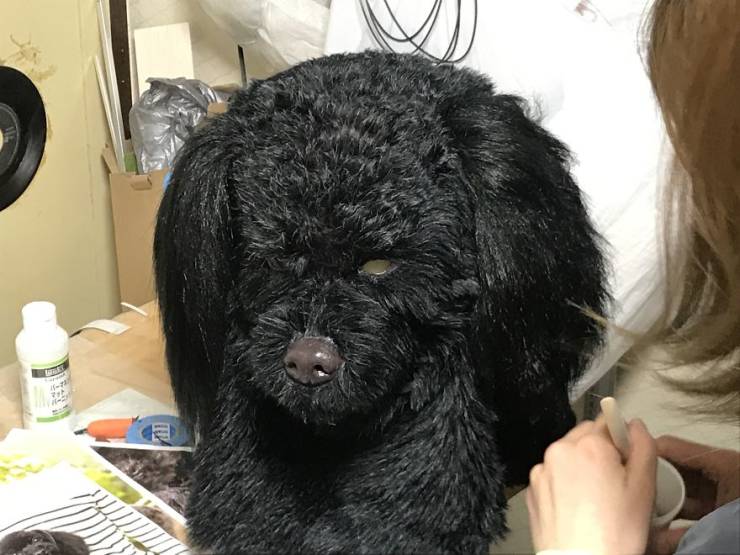 These Realistic Pet Masks Look Quite Macabre, To Say The Least