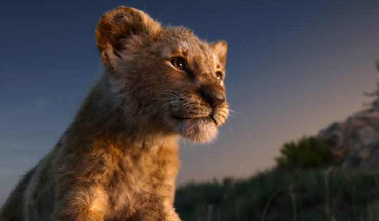 Meet The Adorable Model Behind Baby Simba From The New “Lion King”