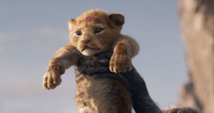 Meet The Adorable Model Behind Baby Simba From The New “Lion King”