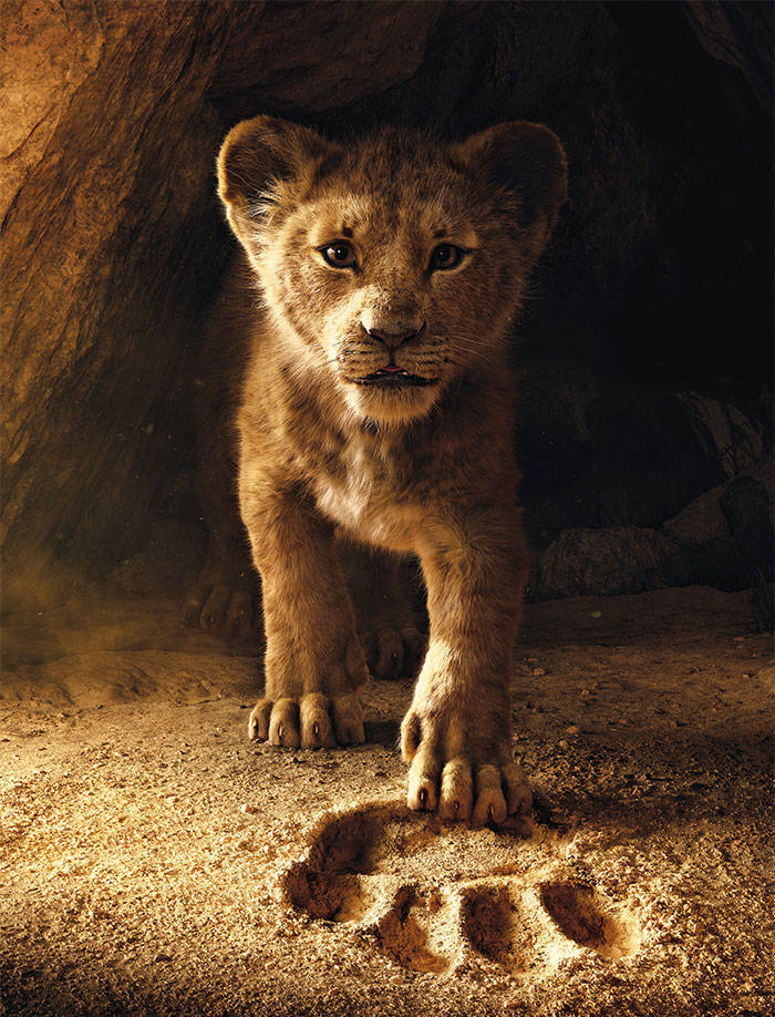 The New Simba From The Lion King is Based on a Dallas Zoo Cub