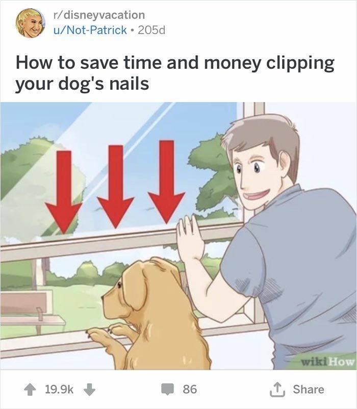 WikiHow Captions Are Extremely Funny When Taken Out Of Context