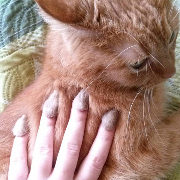 Furry Nails! Hell Nope!