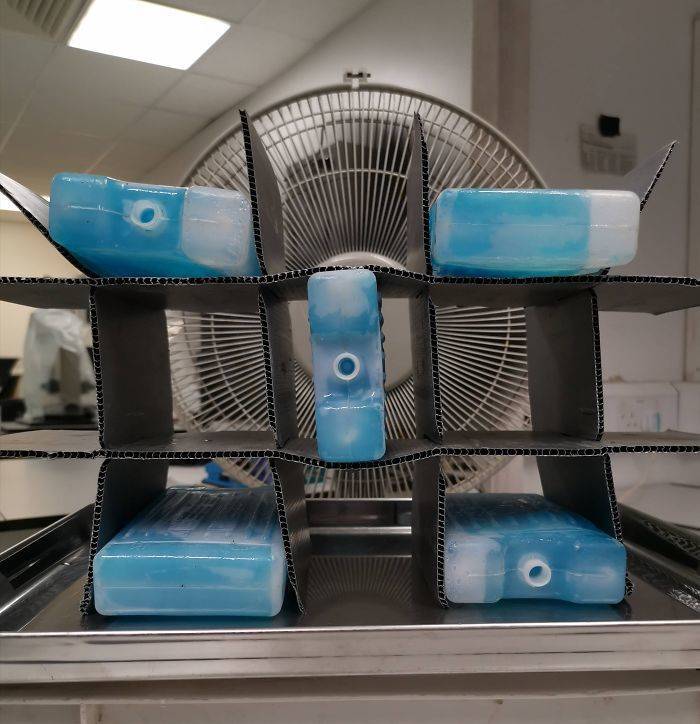 How Great Britain Reacts To The Extreme Heatwave