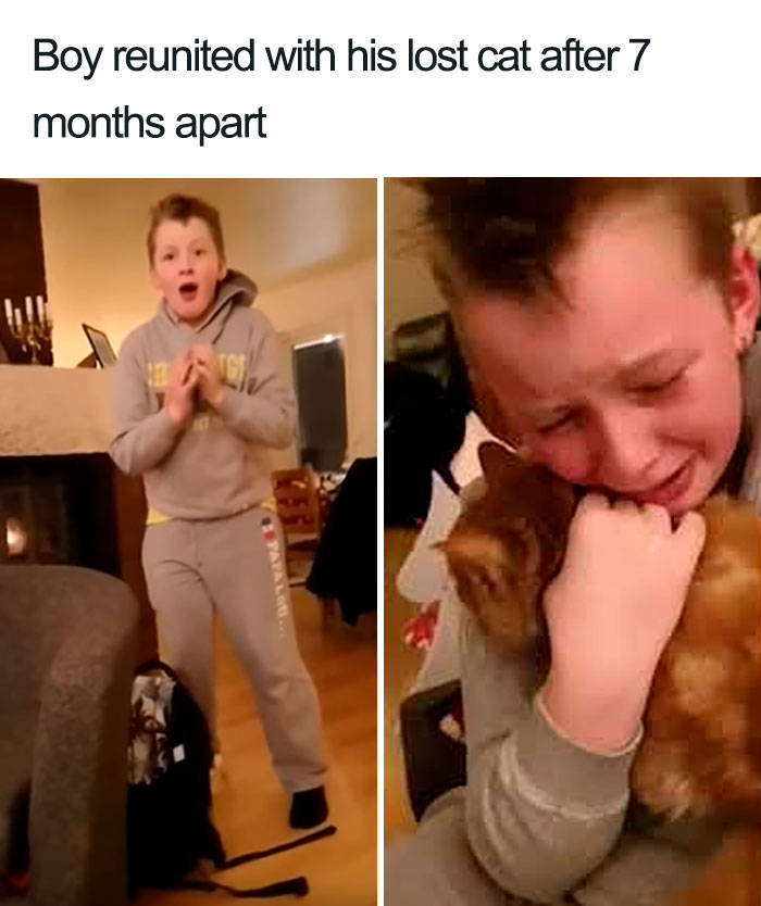 Adorable Cats You Need Right About Now