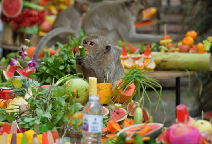 Thailand Is Not A Very Usual Country