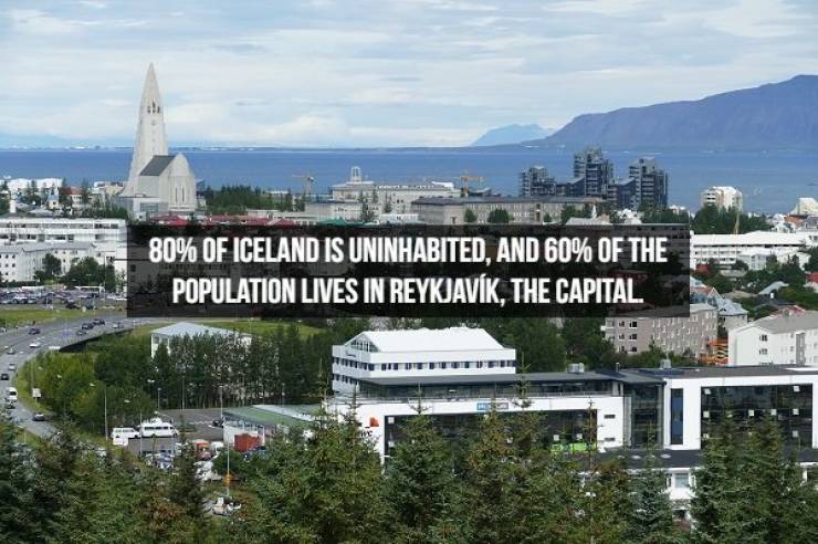 A Geyser Of Facts About Iceland