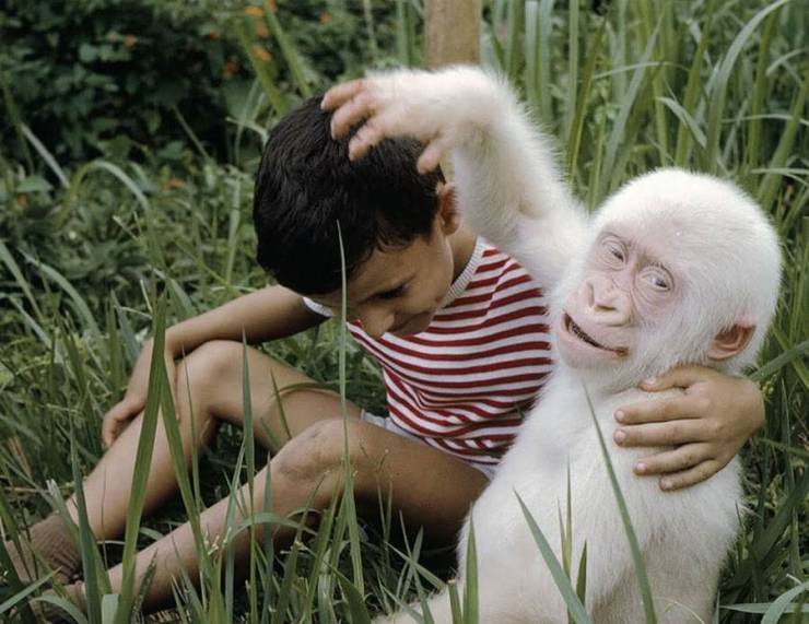 Fine Examples When A Picture Says More Than Just A Thousand Words