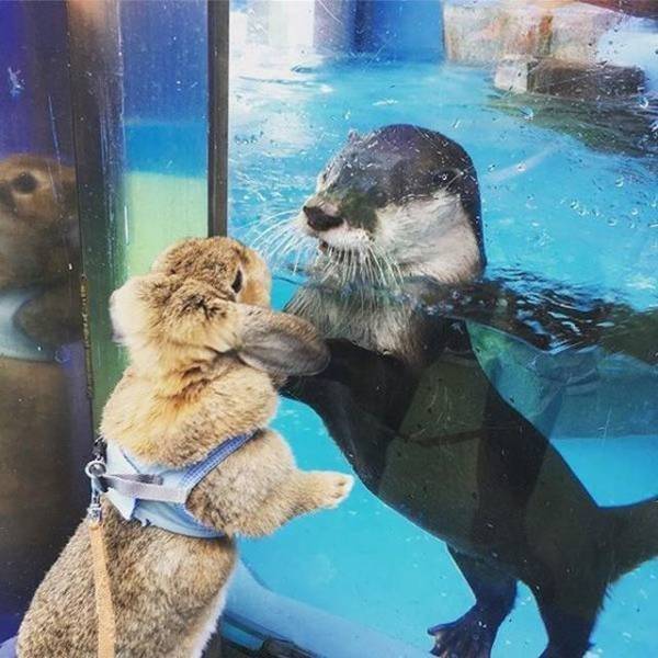 Fine Examples When A Picture Says More Than Just A Thousand Words