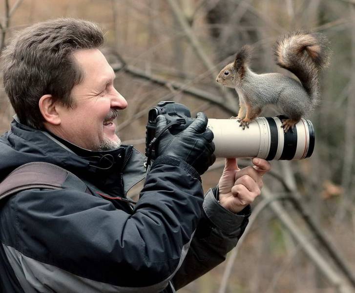 Fine Examples When A Picture Says More Than Just A Thousand Words