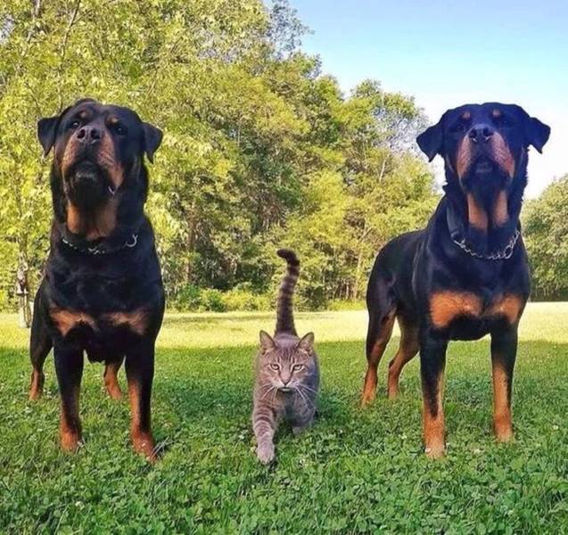 Fine Examples When A Picture Says More Than Just A Thousand Words