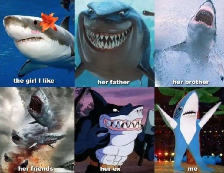 Take A Bite Out Of These Juicy Shark Week Memes (28 pics + 1 gif