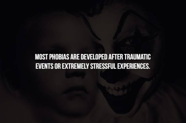 Terrifying Facts About Phobias