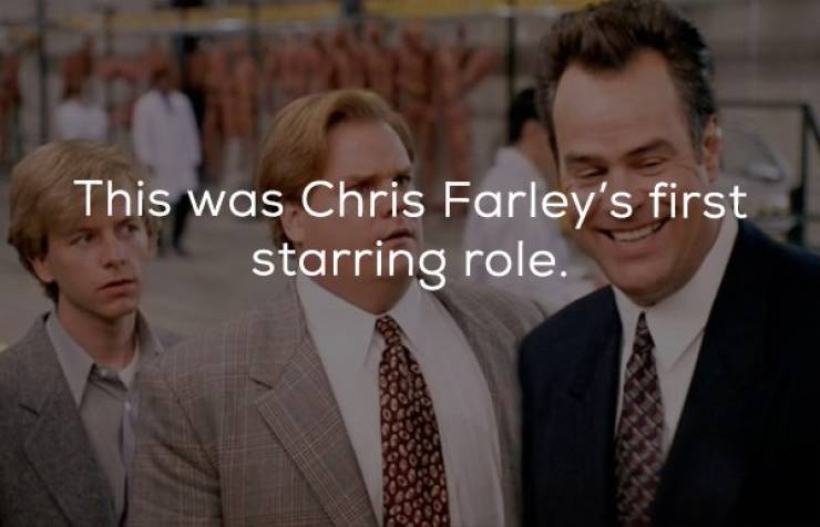 Boy, These Tommy Boy Facts Are Great!