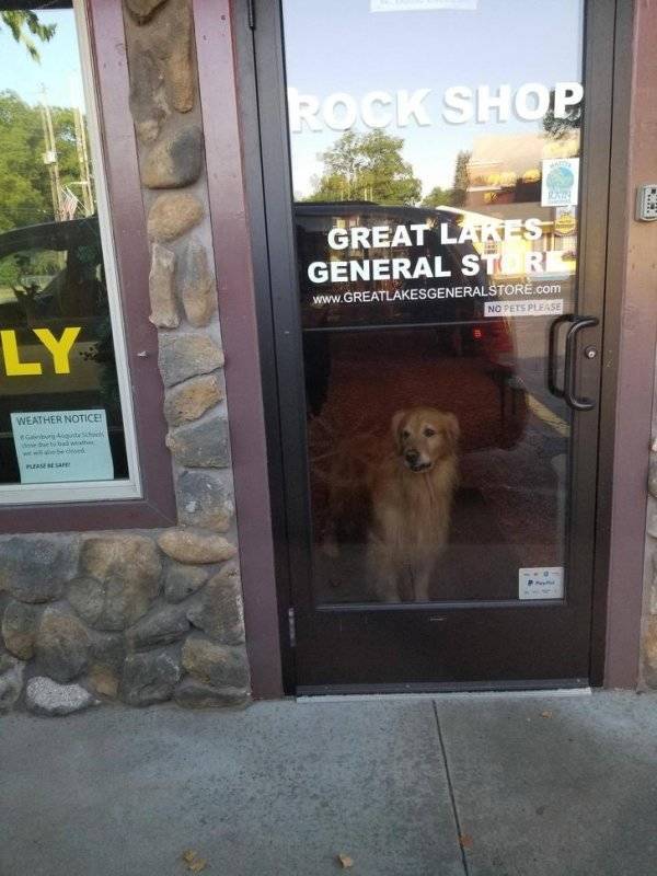 Time To Do What We Want To Do