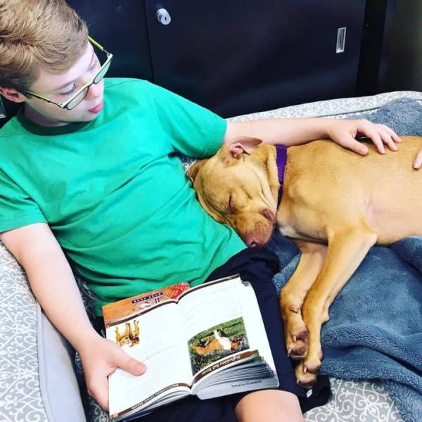 Pets Just Can’t Stop Being Adorable