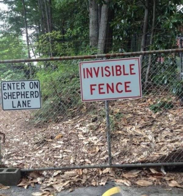 These Signs Make No Sense!