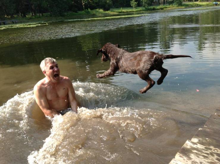 Perfectly Timed Photos