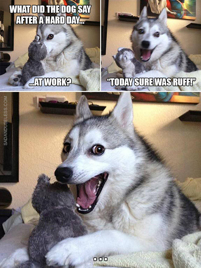 Dog, These Puns Are Awful!