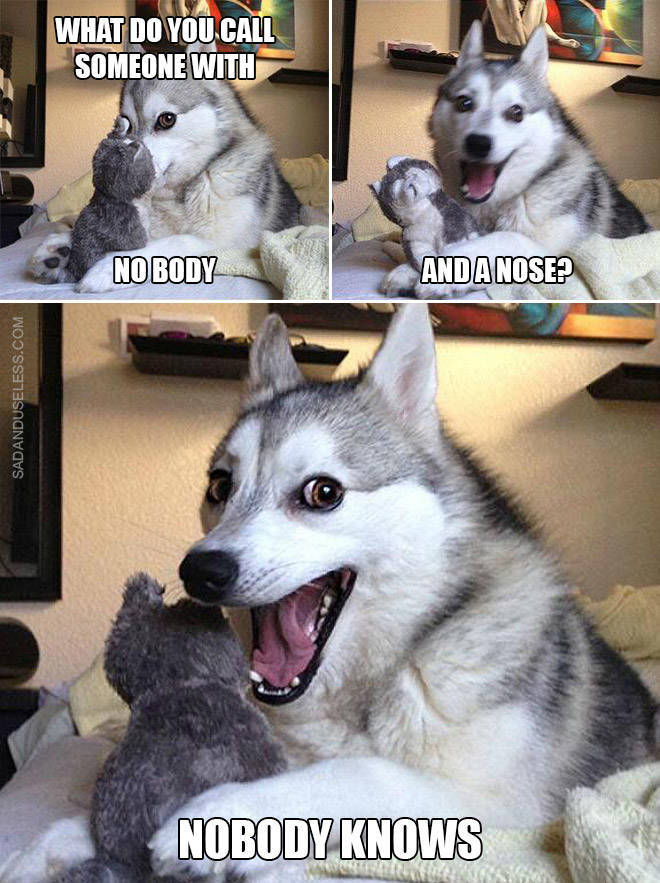 Dog, These Puns Are Awful!