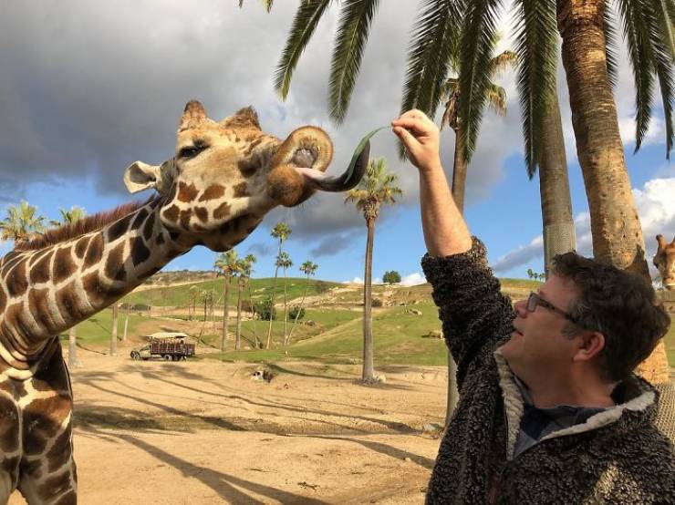 Just Sean Astin With An Otter, Nothing To See Here