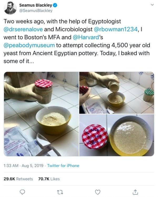 Let’s Just Bake Bread With This 4,500-Year-Old Egyptian Yeast