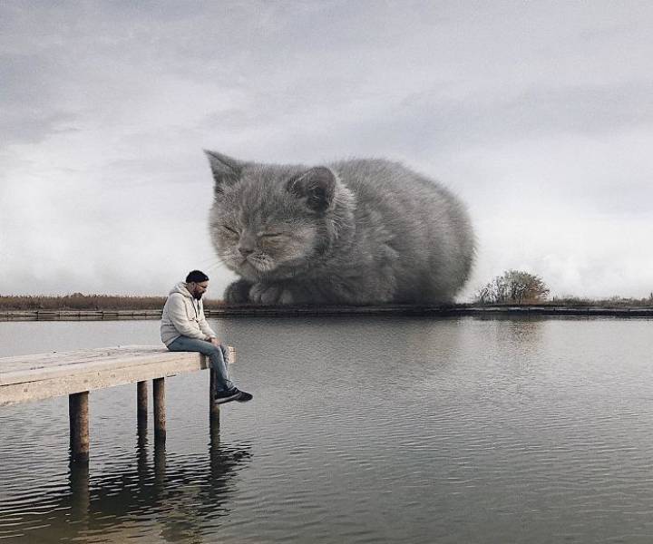 What If Cats Were Much Bigger Than They Really Are