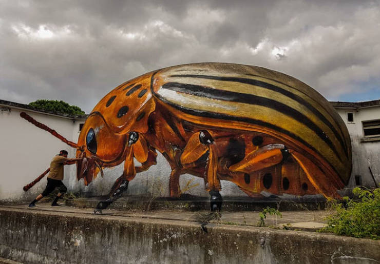 Meet Odeith, The Master Of 3D Illusions