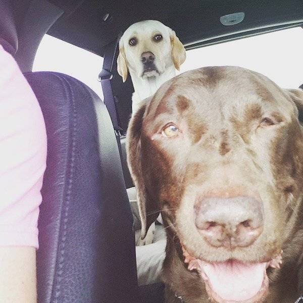 Photobombs Are Always Welcome Here
