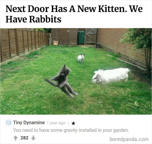 Some Comments Are Just Way Better Than The Posts