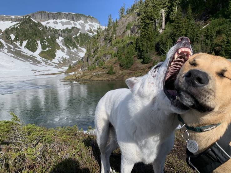 People Who Tried Their Best to Take a Cool Photo but Failed