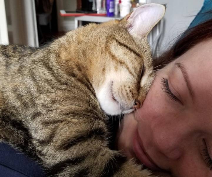 Pets + Owners = Infinite Love