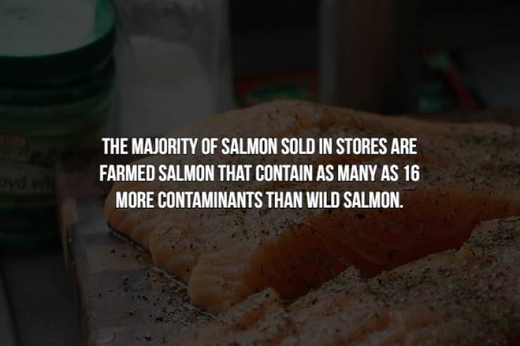 Food Facts Can Be Creepy Too