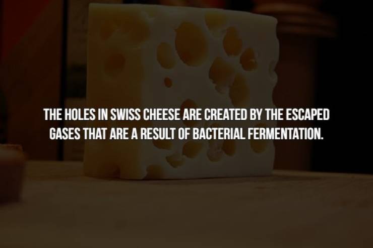 Food Facts Can Be Creepy Too