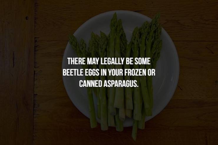 Food Facts Can Be Creepy Too