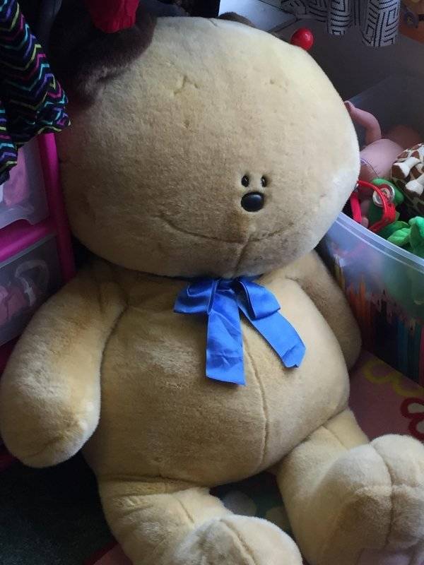 Thrift Shops Are The Places Of Wonder Thrift Shops Are The Places Of Wonder