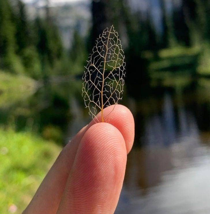 Photos Capturing The Magic Of Nature