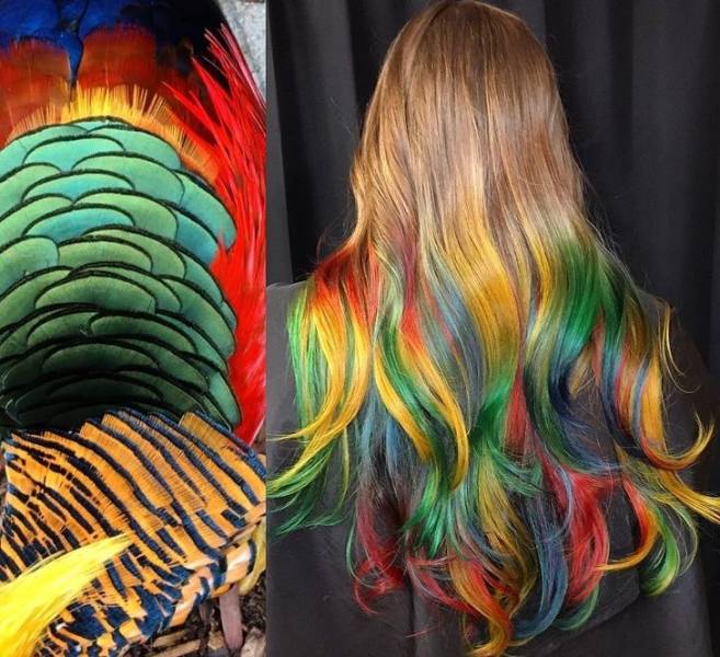 Stylist Combines Nature With Hair To Create Incredible Art