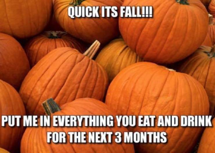 The Fall Is Almost Here, By The Way!