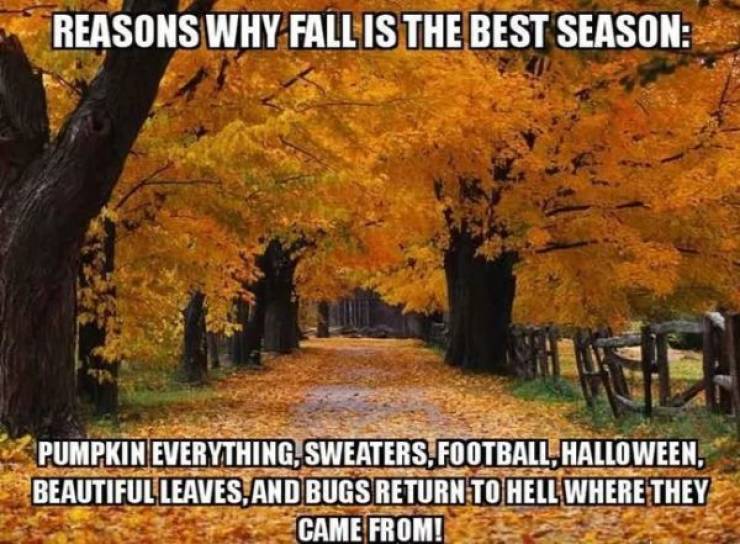 The Fall Is Almost Here, By The Way!