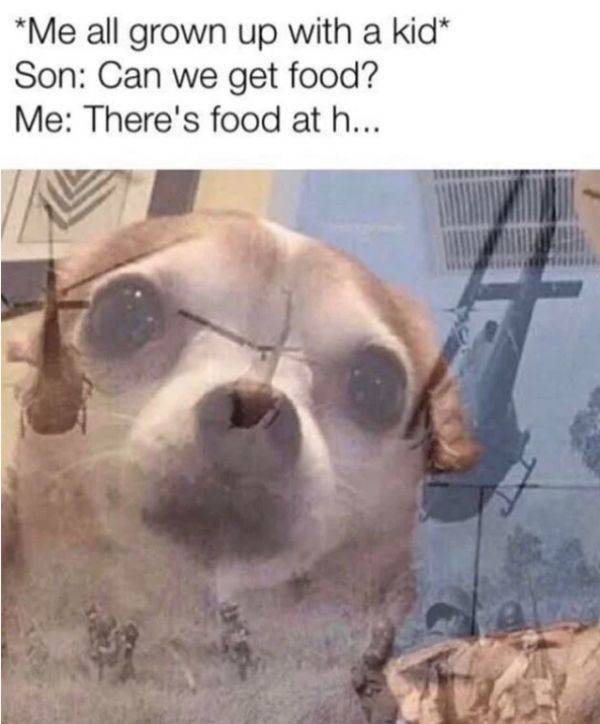 Parenting Memes Are Trying, They Are Trying So Hard!