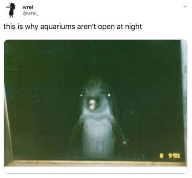 These Tweets Are Funny, But Not Too Funny, You Know