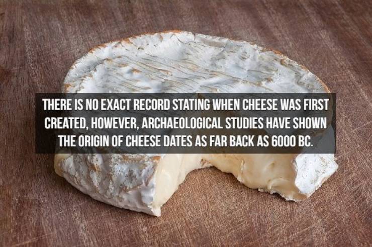 We Will Need Even More Cheese For These Cheese Facts