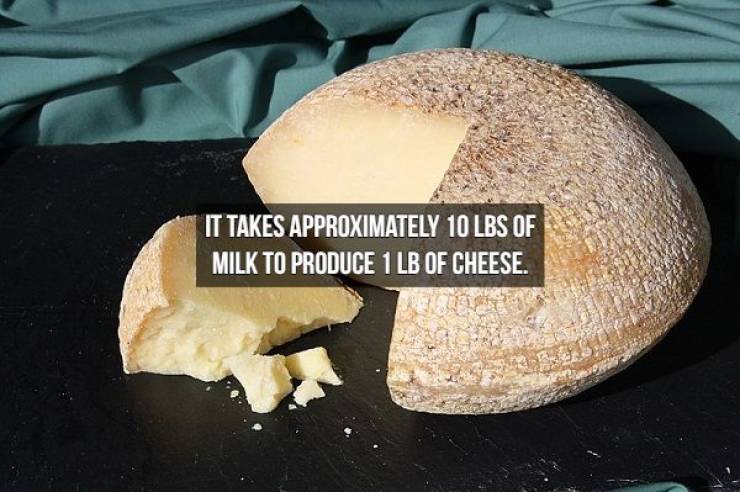 We Will Need Even More Cheese For These Cheese Facts
