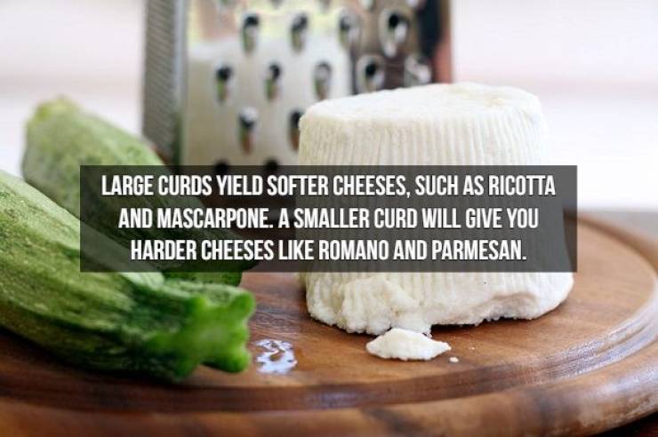 We Will Need Even More Cheese For These Cheese Facts