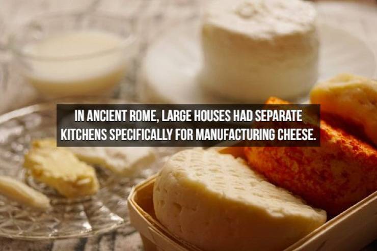 We Will Need Even More Cheese For These Cheese Facts