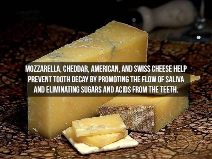 We Will Need Even More Cheese For These Cheese Facts