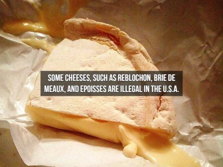 We Will Need Even More Cheese For These Cheese Facts